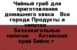 Чайный гриб для приготовления домашнего кваса - Все города Продукты и напитки » Безалкогольные напитки   . Алтайский край,Бийск г.